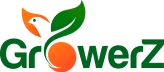 GrowerZ: семена конопли купить