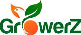 GrowerZ: семена конопли купить